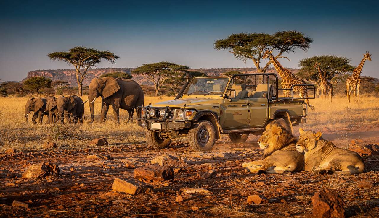 Rencontre avec une faune exceptionnelle