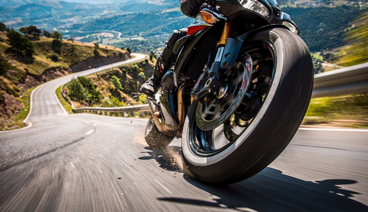 Les facteurs influen&ccedil;ant la taille de la bande de peur