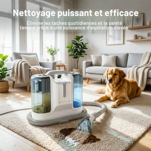 Découvrez notre test complet de la shampouineuse 450W avec 16 KPa de puissance. Nettoyant idéal pour canapés et tapis, avis et performances détaillées.